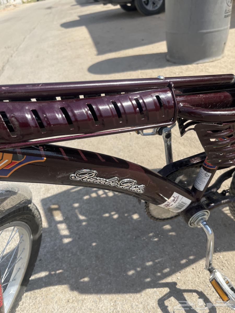 حفر البطن64249938078338113