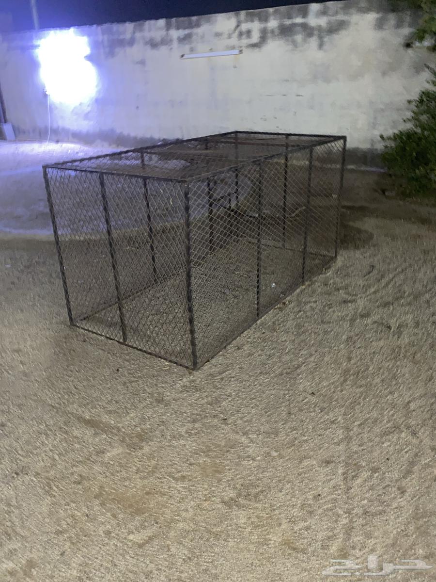 شبك حديد64254957220866110