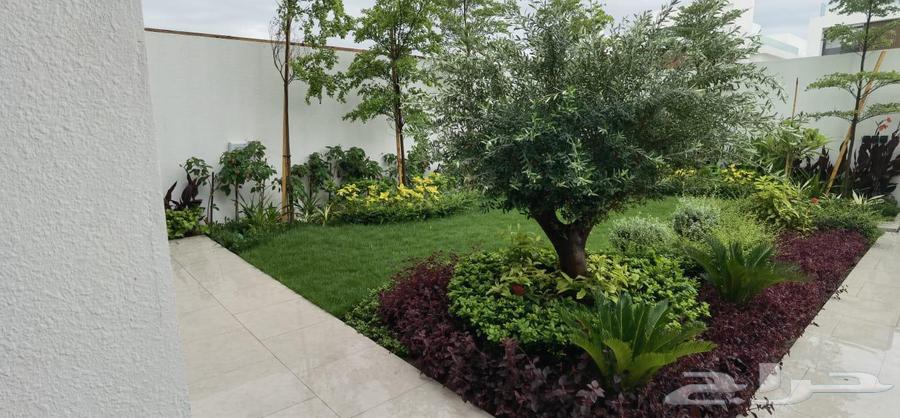 تنسيق حدايق وتركيب شبكات الري والعشب الصناعي وعلاج النخيل64254667983746112