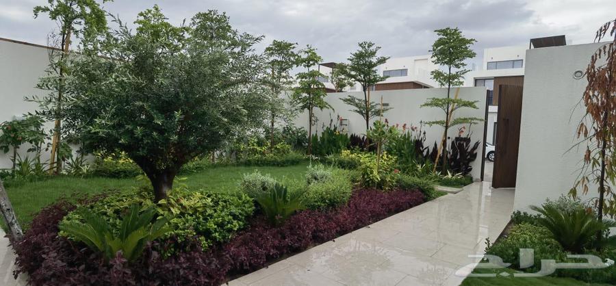 تنسيق حدايق وتركيب شبكات الري والعشب الصناعي وعلاج النخيل64254667983746113