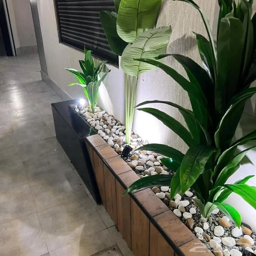 تنسيق حدائق وتركيب بديل خشب وعمل غرف زوجاجي ومظلات المدينة64250138052353113