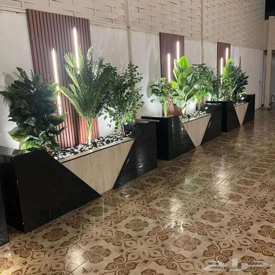 تنسيق حدائق وتركيب بديل خشب وعمل غرف زوجاجي ومظلات المدينة64250138052353110