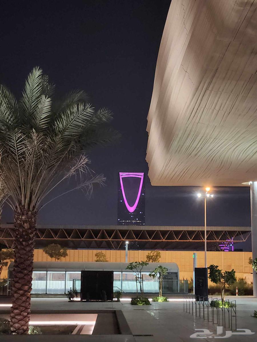 مطلوب سكن مشترك64249713854082110