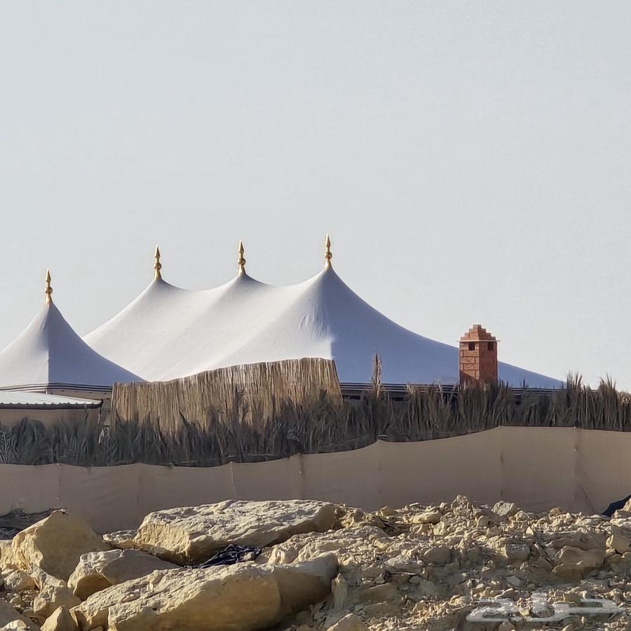 خيام ثابته وبيوت شعر ومشبات64254506530305113