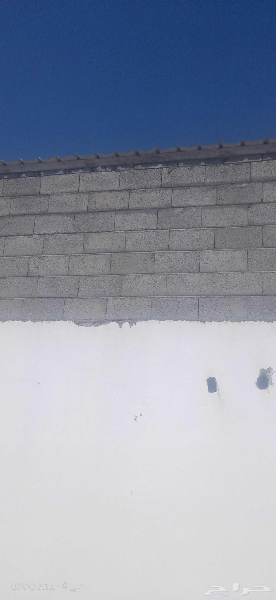 بنا ومليس64249725094914112