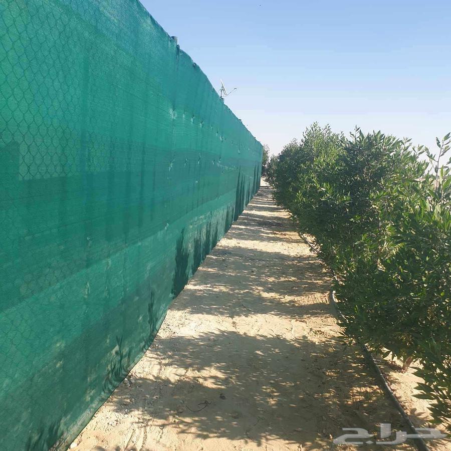 ابوصالح لتوريد وتركيب الشبوك64244998735233111