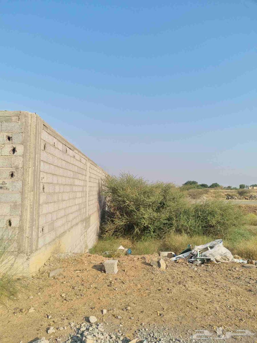 حوش مسلح للبيع في بيش64249712863107112