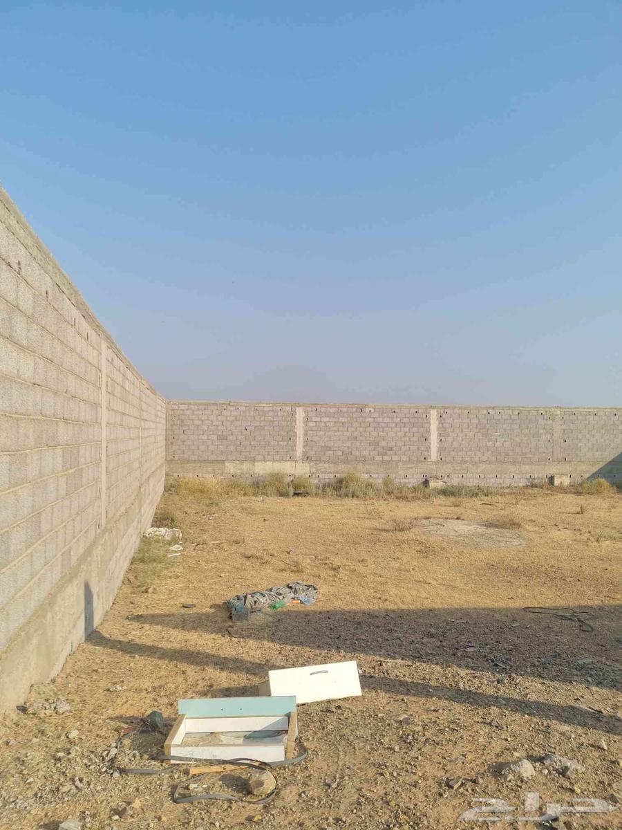 حوش مسلح للبيع في بيش64249712863107110