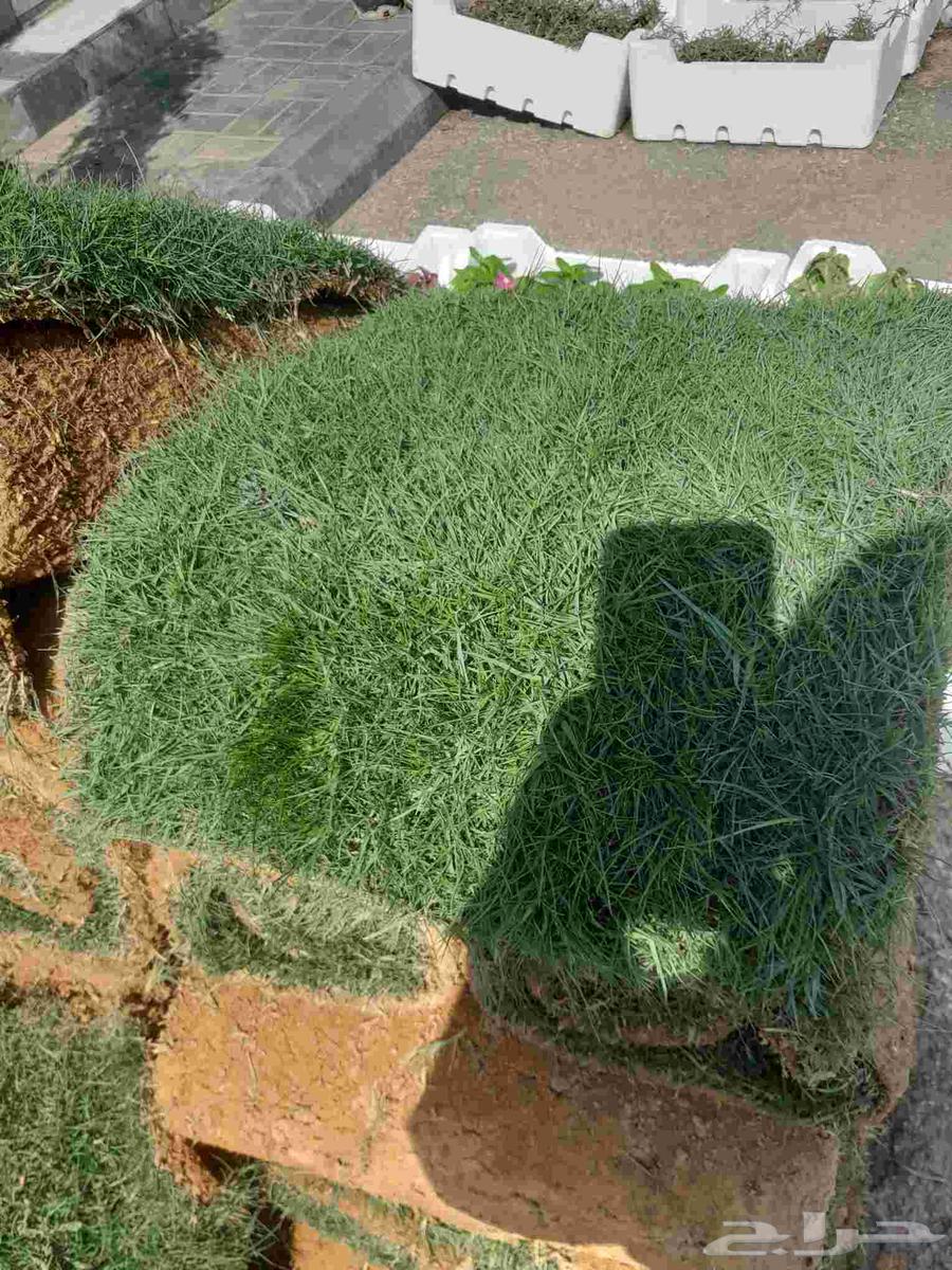 تنسيق حدائق تنفيذ ملاعب كره قدم معتمدة64254666505601111