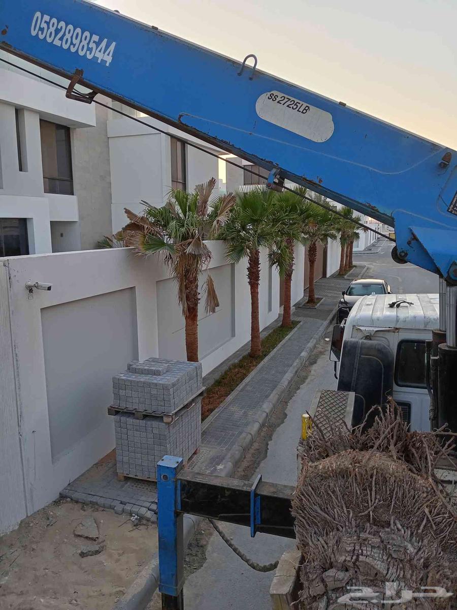 لجميع أنواع النخيل الوشنطن والنخيل البلدي والفسيل والعشب وتر64254957907843110