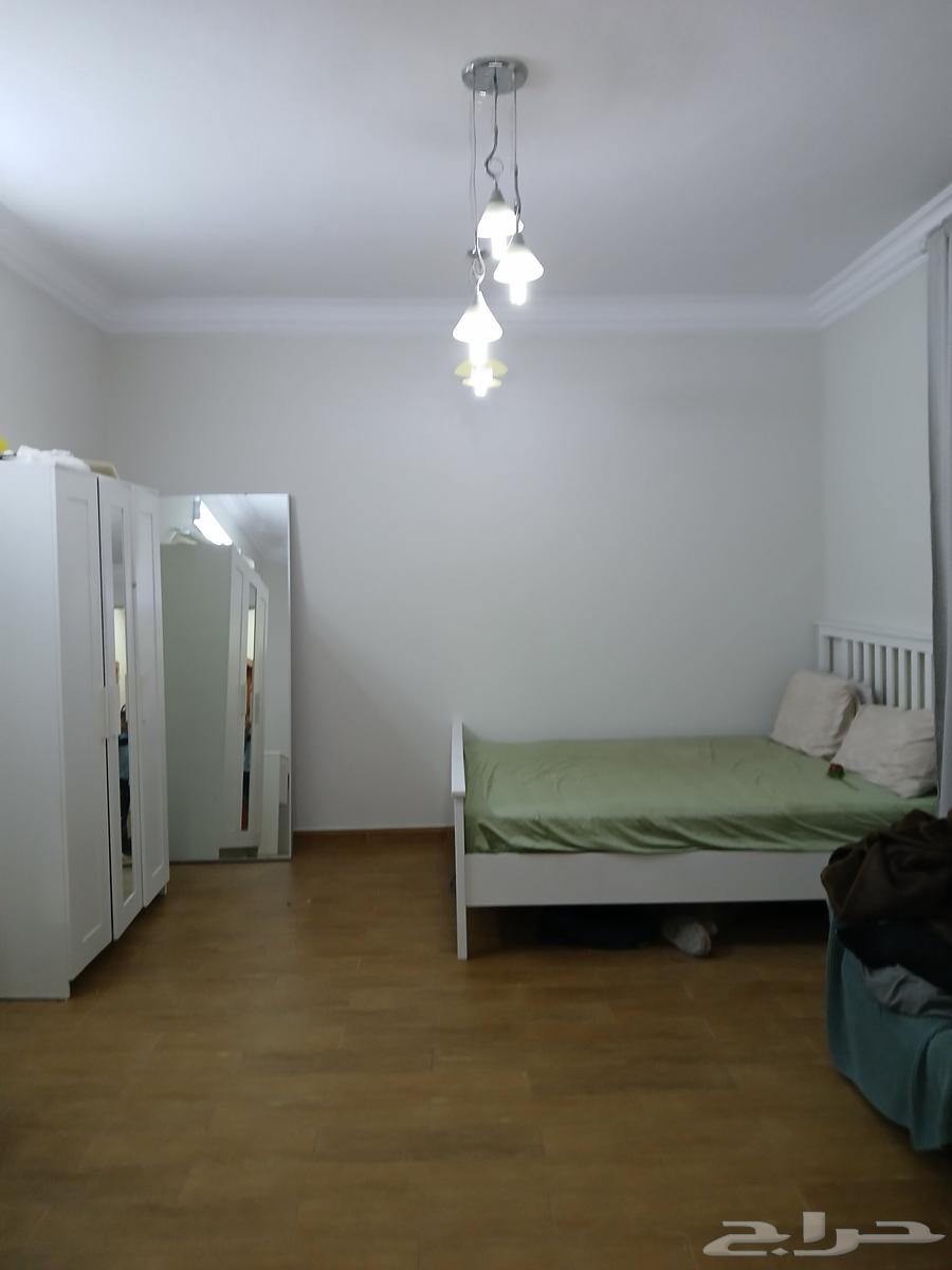 Egyptian painter with 15 years of experience, working in all types of paints64254509388929111