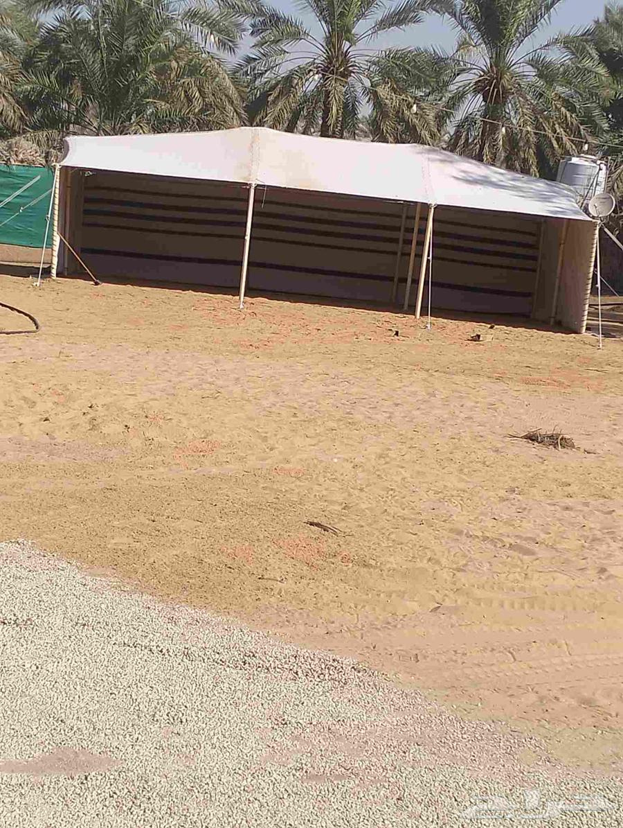 Tent installation in Buraydah, Al-Qassim, mobile number64249937731331113