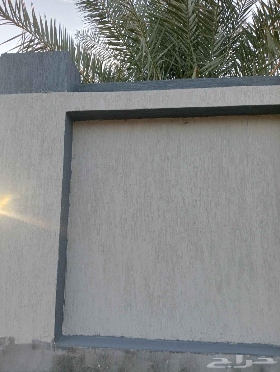 مقاول تليس وبناء وتكسير وسرميك64254957129090114