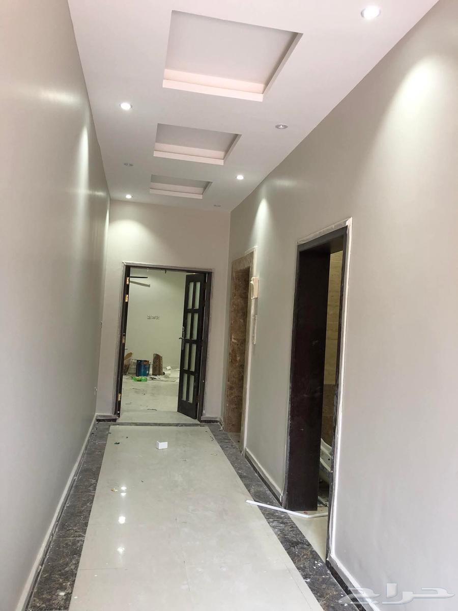 Painting technician for all types of paints under technical supervision64249721866371114