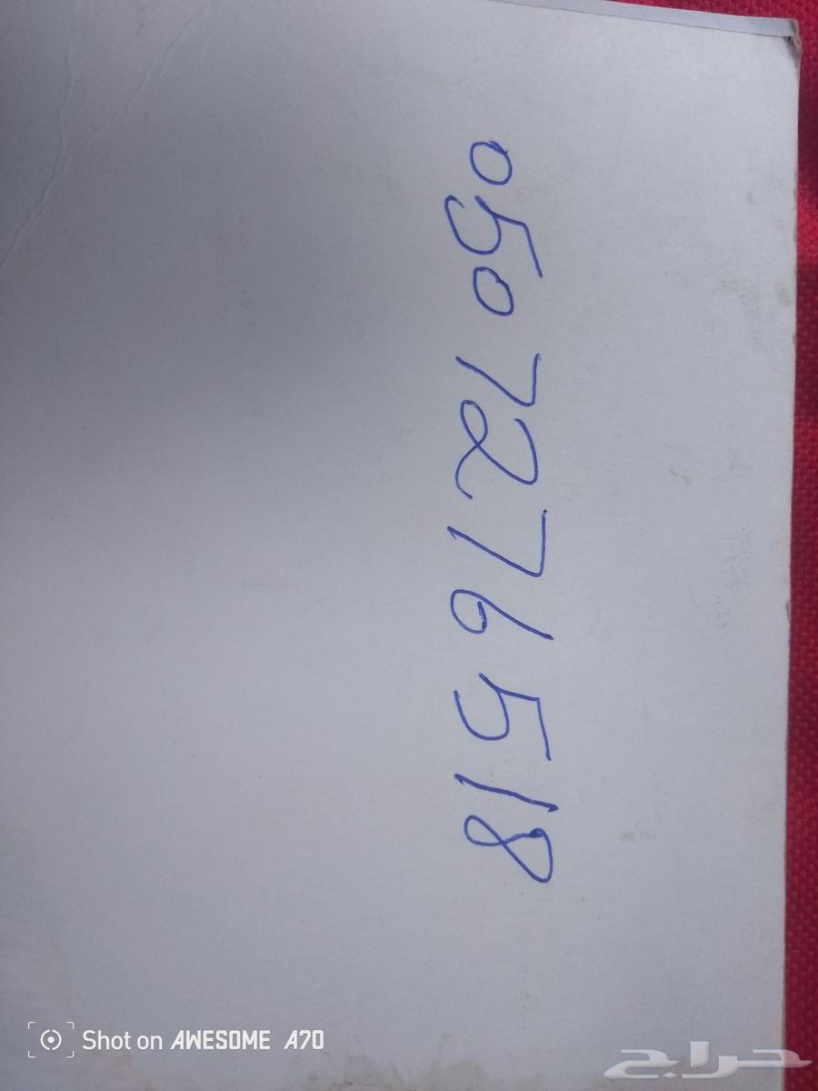 معلم جبس64254955873411114