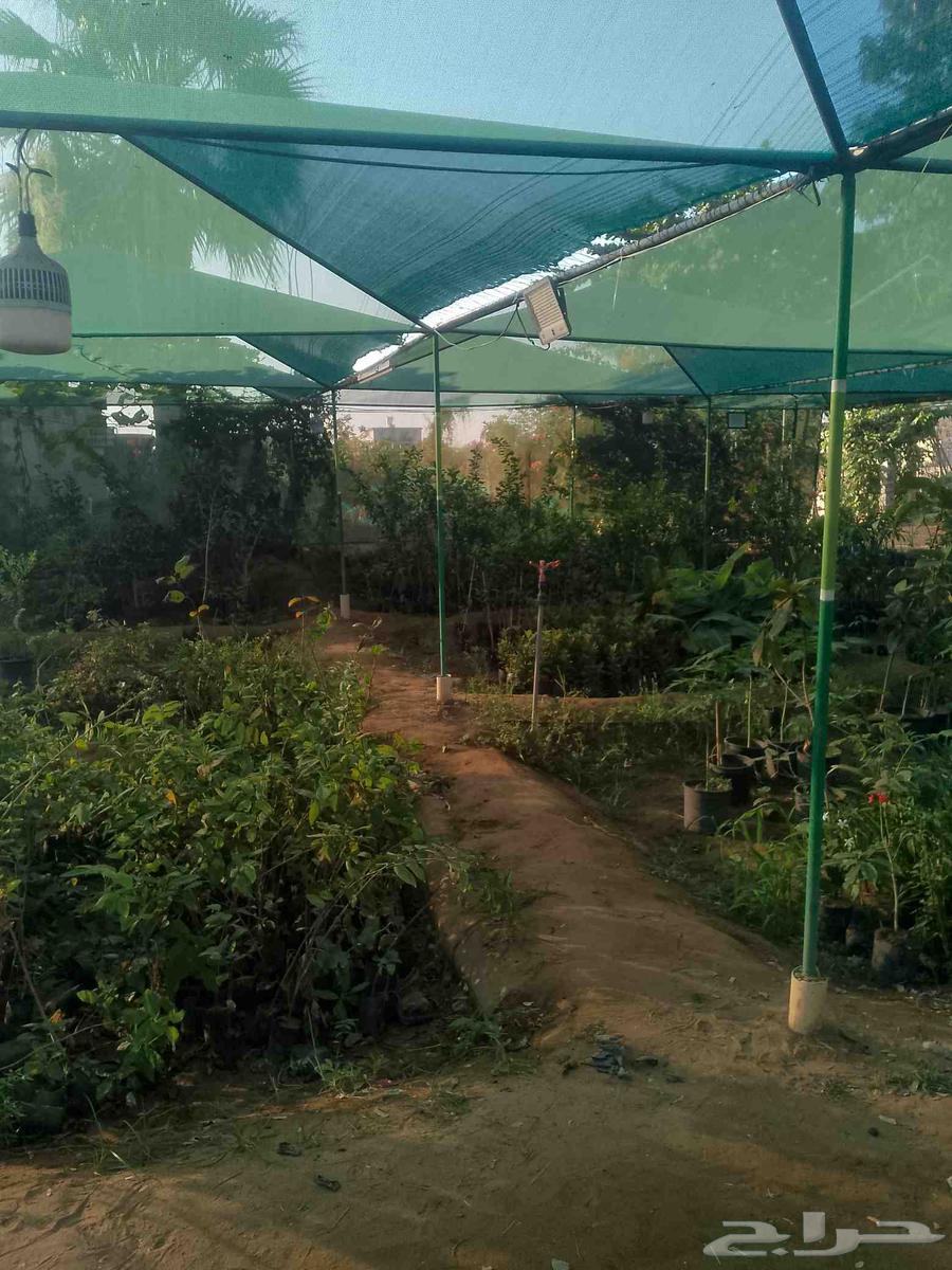 تنسيق حدائق مشاريع زراعية64254509109890112