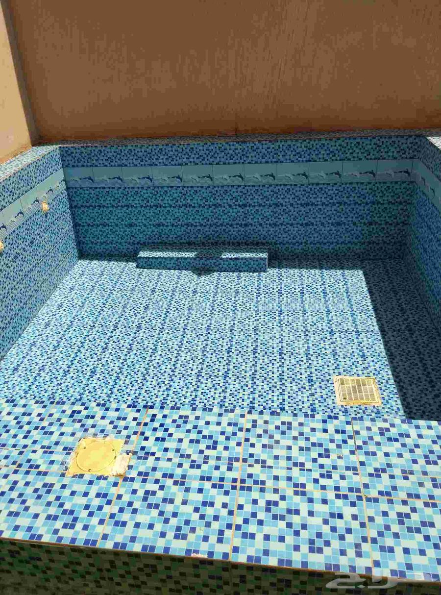 Pool Cleaning, Pool Maintenance, Pool Renovation, Pool Repair64254156103426112