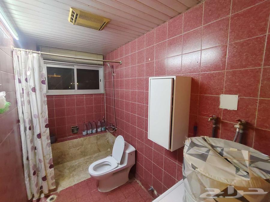 فني سباق كهرباء64255128032003113