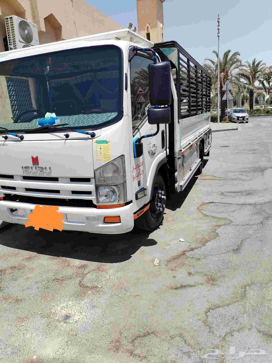 دينا المشوار داخل وخارج الرياض64245000050177110