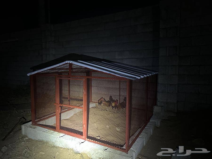 قفص64249505373315114