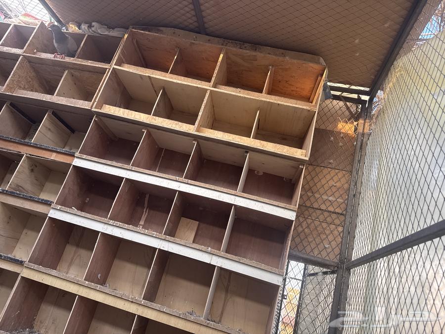 Bathroom mesh 3x3 with two-meter height, three sides and top mesh with approximately 180 closed sections64254317288449110