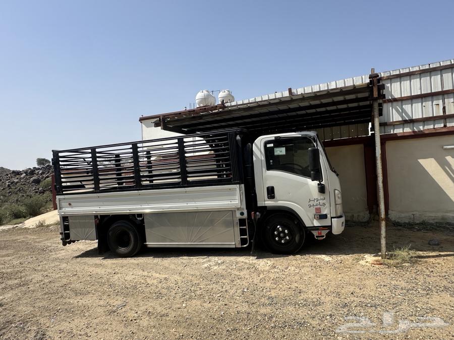 Dina Shabak heading from Riyadh to Jeddah64249940300930111