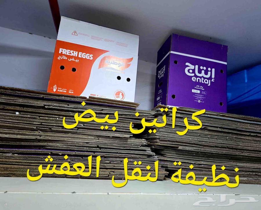 كراتين بيض فارغة نظيفة على الشرط64253986568834110