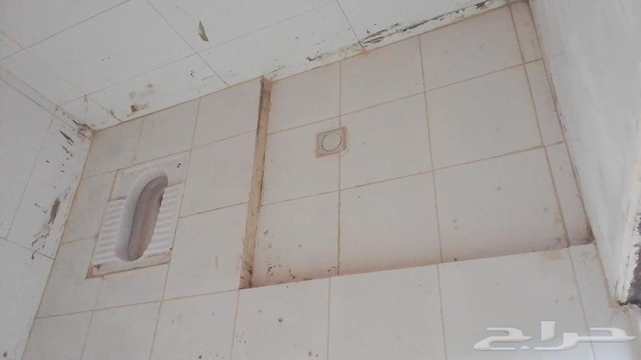 مبلط سرامي  بلاط تشطيب64249721672707113