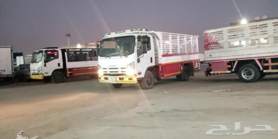 نقل عفش بالرياض64254319033474110