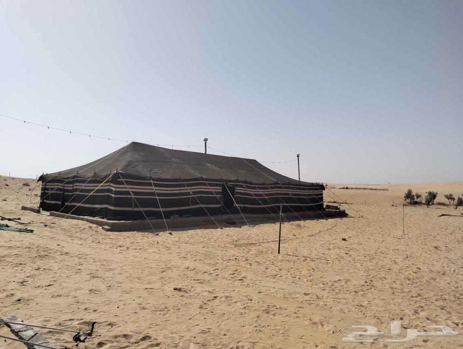 Tent installation in Buraydah, Al-Qassim, mobile number64249937731331114