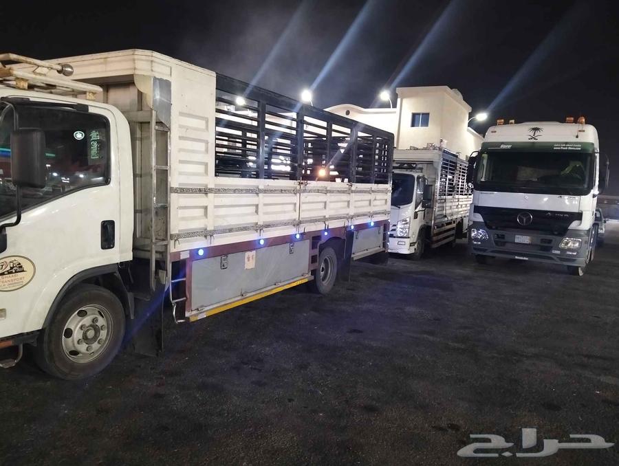 نقل عفش الدمام الخبر الحساء64254318697730110