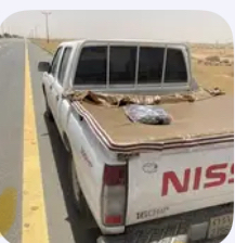 Delivery of sheep64253985762178110