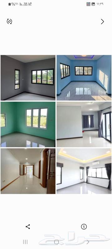 دهانات وديكورات64253987637889114