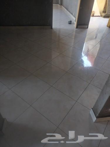 Egyptian tiler for all types of ceramics, marble, terracotta, and wood alternatives64253986136323112