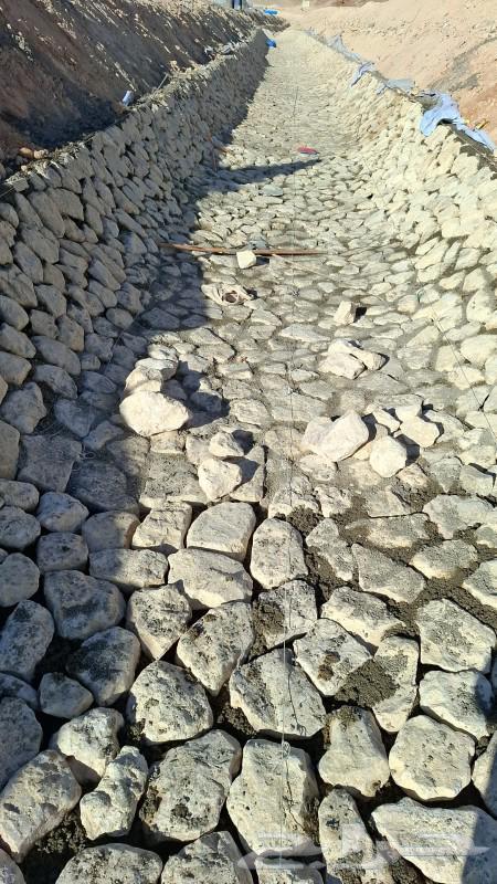 آنا مقاول حجر64254666103426114