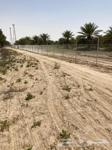 مقاول شبوك توريد وتركيب وصيانه64253986388994111