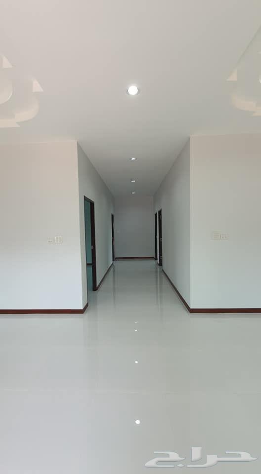 الدهانات داخليه وخارجيه ترميم المباني64254508219266113