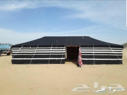 البيع البيوت الشعر جميع المقاسات64254153206785110