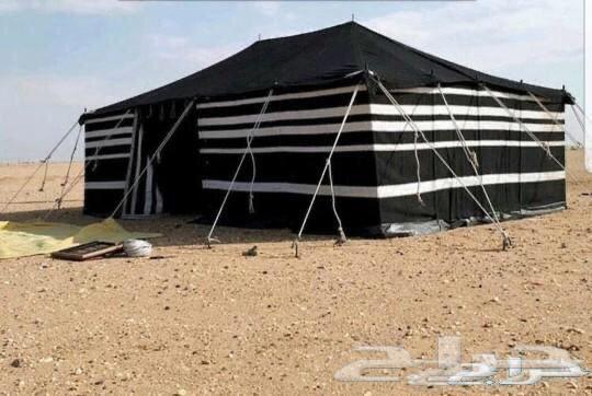 البيع البيوت الشعر جميع المقاسات64254153206785112