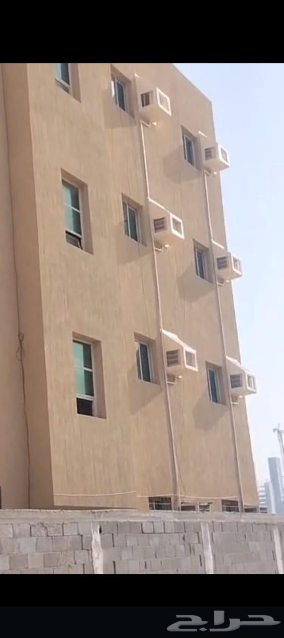 طرد الحمام شبابيك شوك64249724691329113