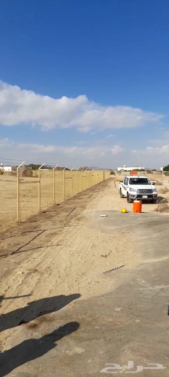 Shabak64254508432129114