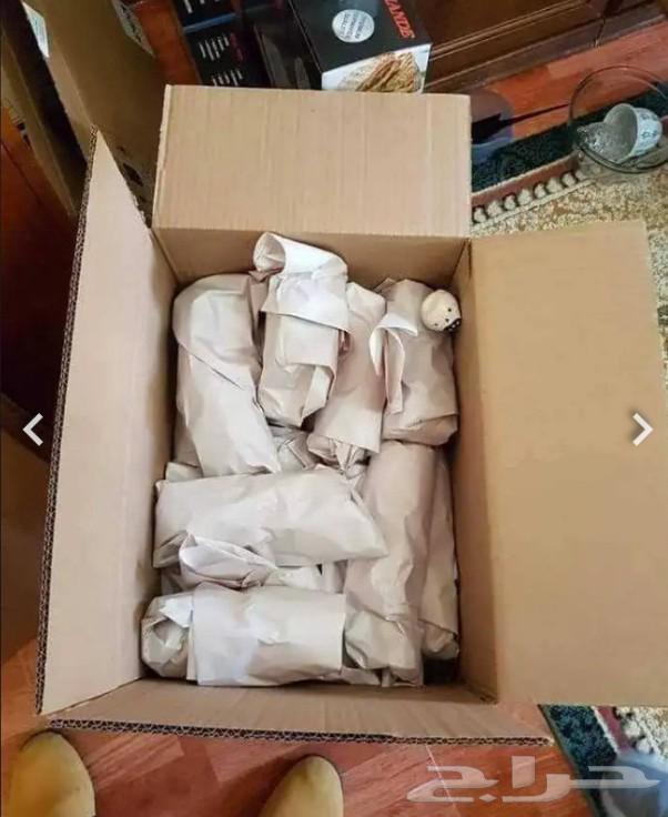 شركة نقل عفش في خميس مشيط64245000706049114