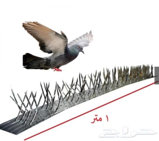 Bird netting deterrent64245001251459110