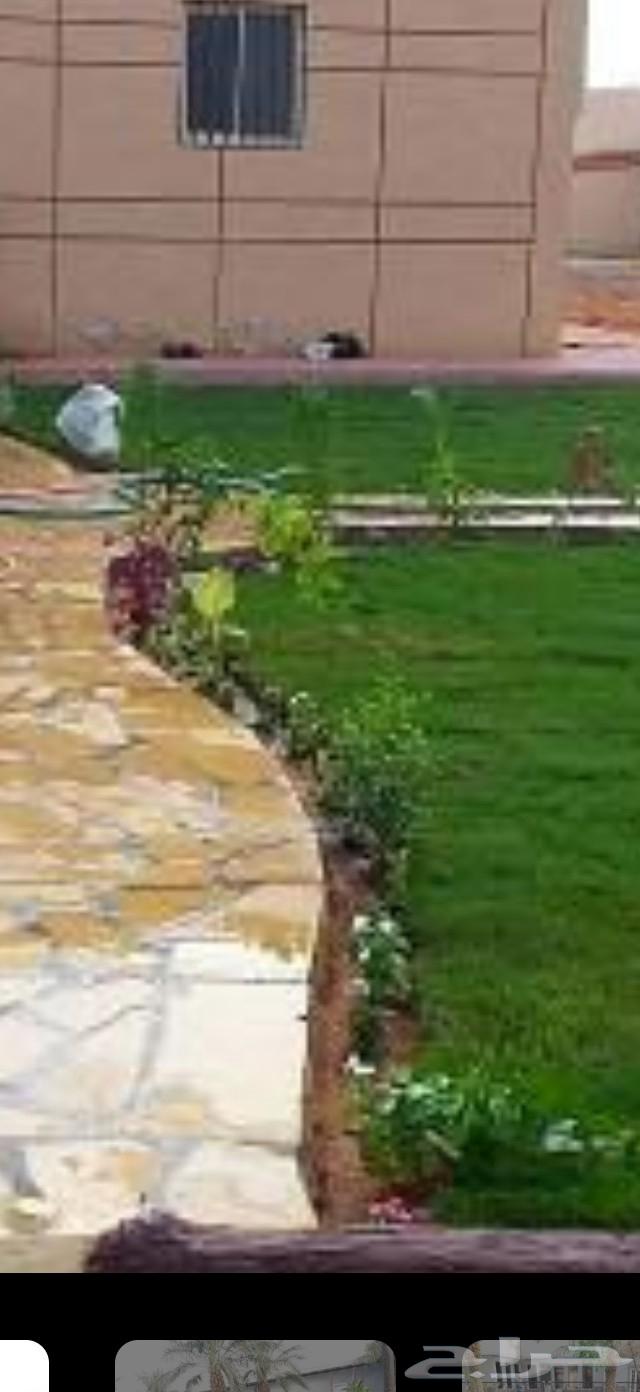 تنسيق حدائق تنفيذ ملاعب كره قدم معتمدة64254666505601112