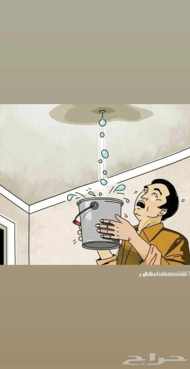 Water Leak Detection Company, Roof Insulation, and Tank Insulation64249938341378112