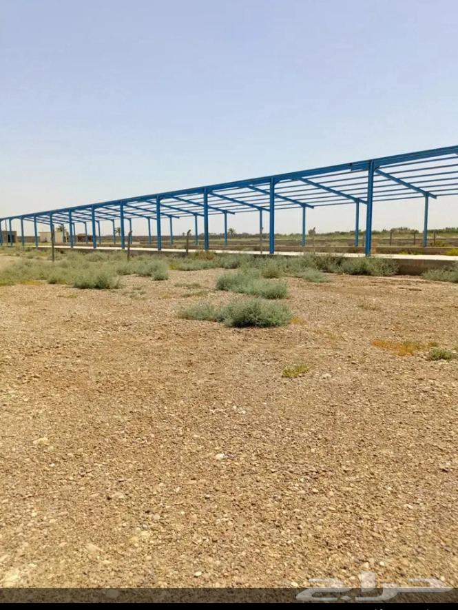 Warehouse blacksmithing Hanajer64254153103745111