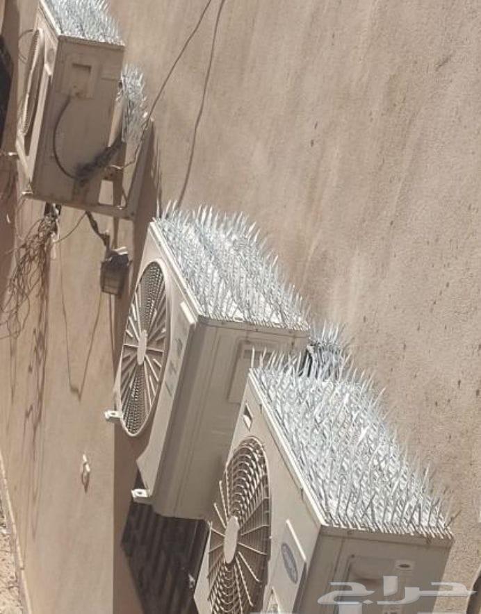 Annoying pigeon repellent installation of pigeon netting in Jeddah64249725711361112