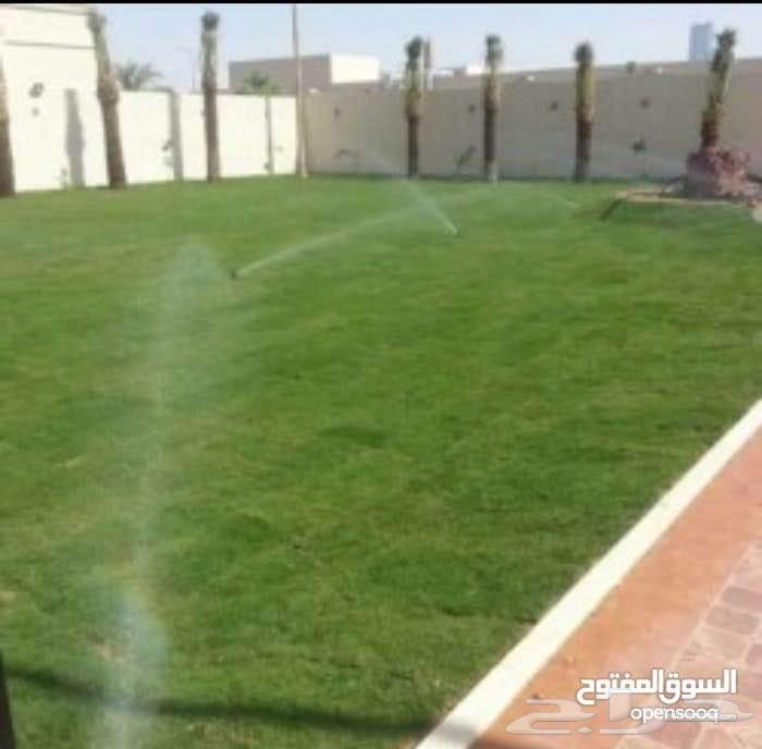 تنسيق حدائق64254507850755112