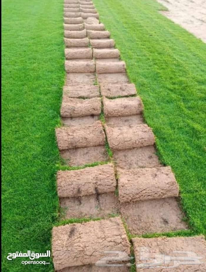 تنسيق حدائق64254507850755114