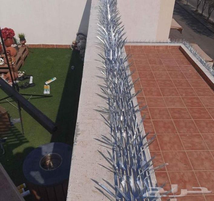Annoying pigeon repellent installation of pigeon netting in Jeddah64249725711361110